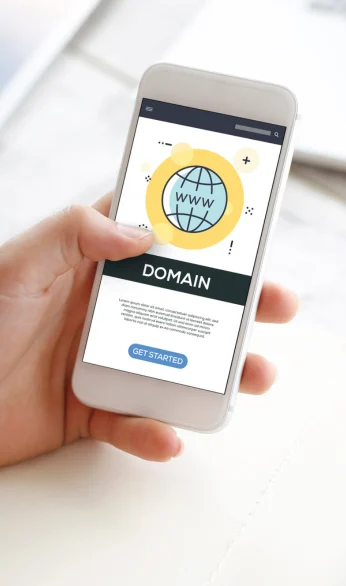 domain-provider