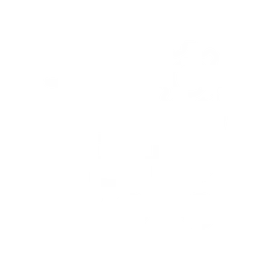 E-Commerce SEO