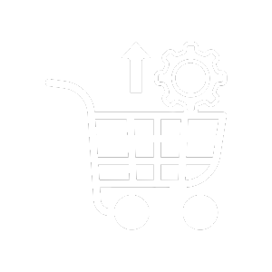 E-commerce SEO